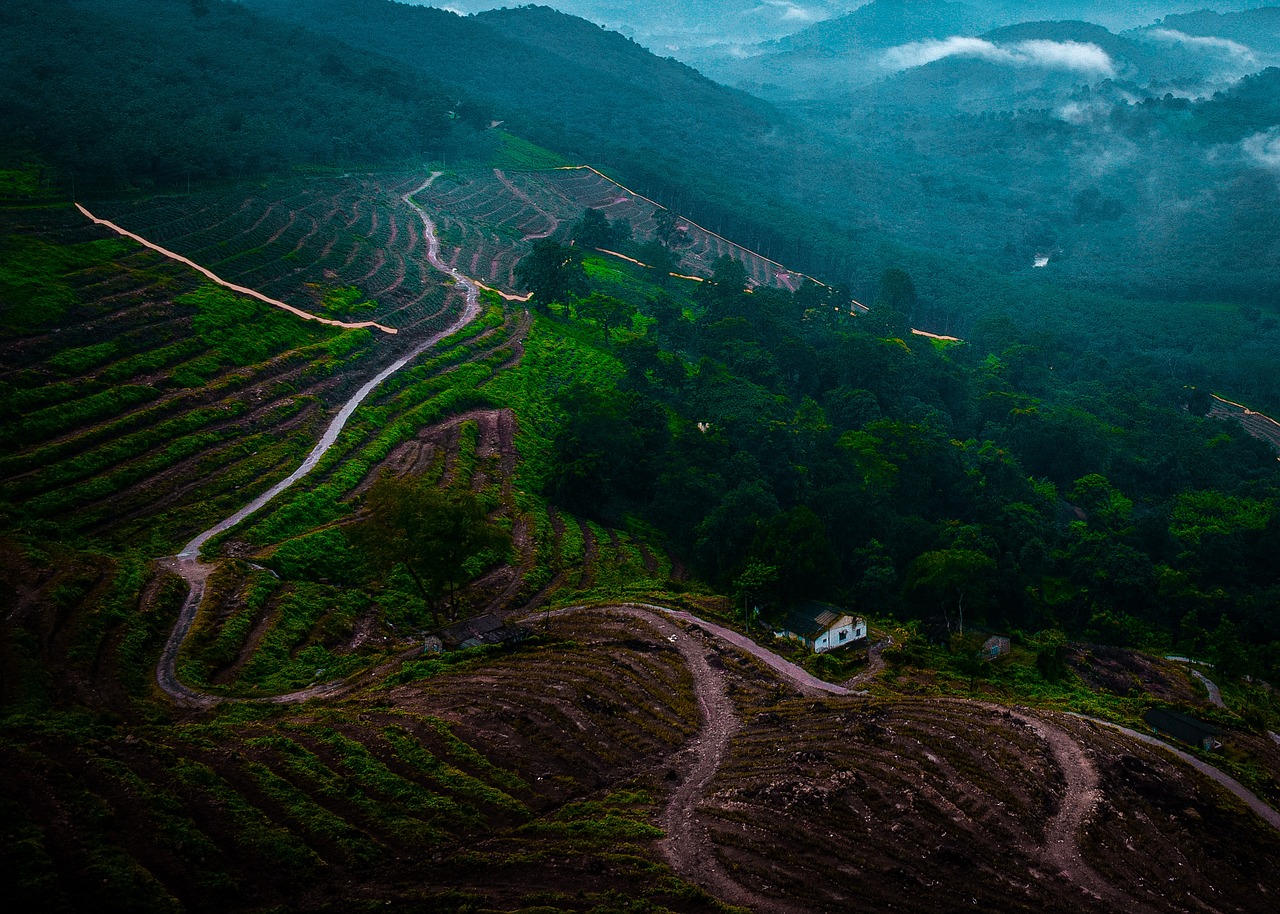 Tranquil Vagamon: Nature and Serenity